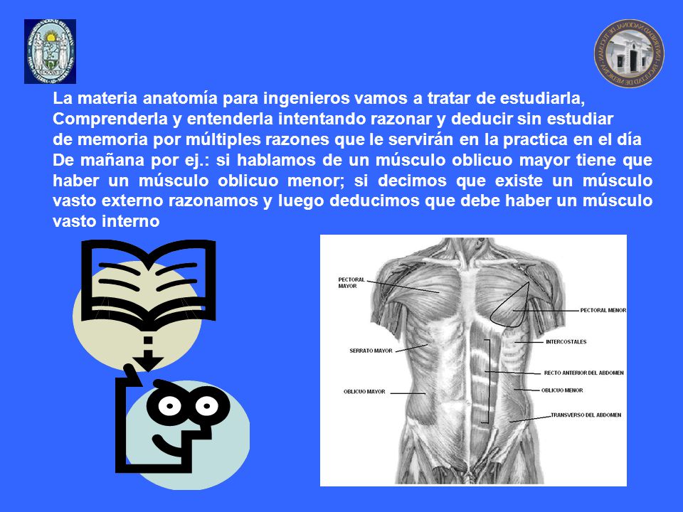 La materia anatomía para ingenieros vamos a tratar de estudiarla,