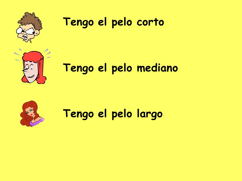 Tengo el pelo corto Tengo el pelo mediano Tengo el pelo largo