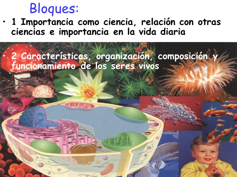 Bloques: 1 Importancia como ciencia, relación con otras ciencias e importancia en la vida diaria.