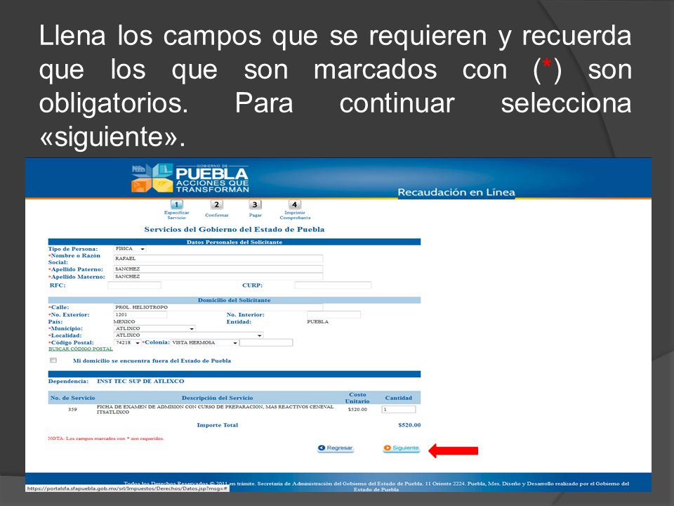 Llena los campos que se requieren y recuerda que los que son marcados con (*) son obligatorios.