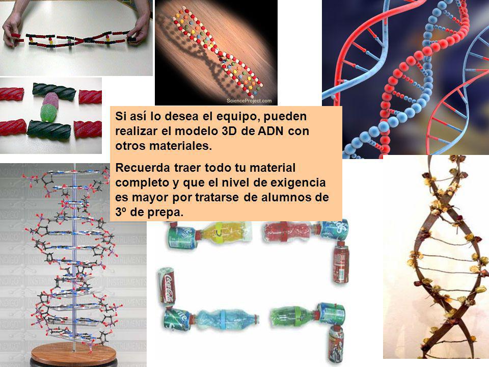 Si así lo desea el equipo, pueden realizar el modelo 3D de ADN con otros materiales.