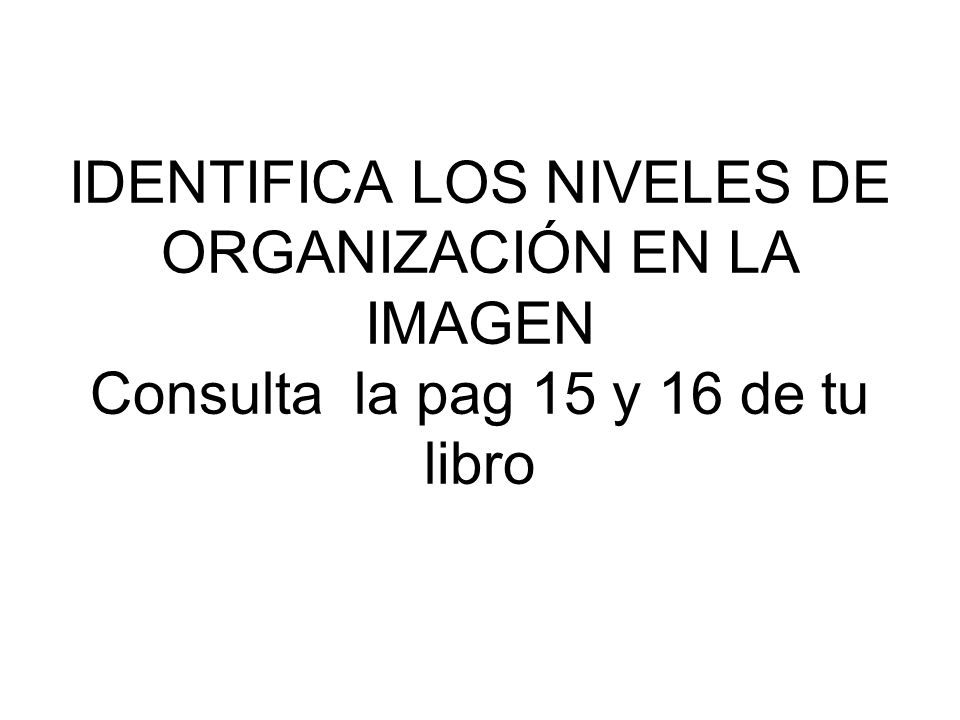 IDENTIFICA LOS NIVELES DE ORGANIZACIÓN EN LA IMAGEN Consulta la pag 15 y 16 de tu libro