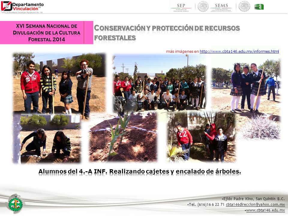 Alumnos del 4.-A INF. Realizando cajetes y encalado de árboles.