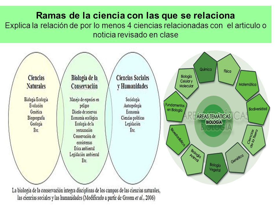 Ramas de la ciencia con las que se relaciona Explica la relación de por lo menos 4 ciencias relacionadas con el articulo o noticia revisado en clase