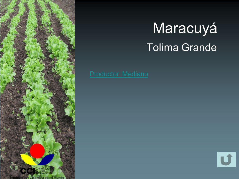 Maracuyá Tolima Grande Productor Mediano