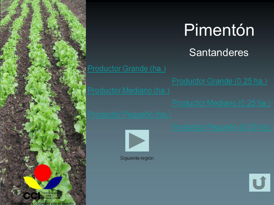 Pimentón Santanderes Productor Grande (ha.) Productor Mediano (ha.)