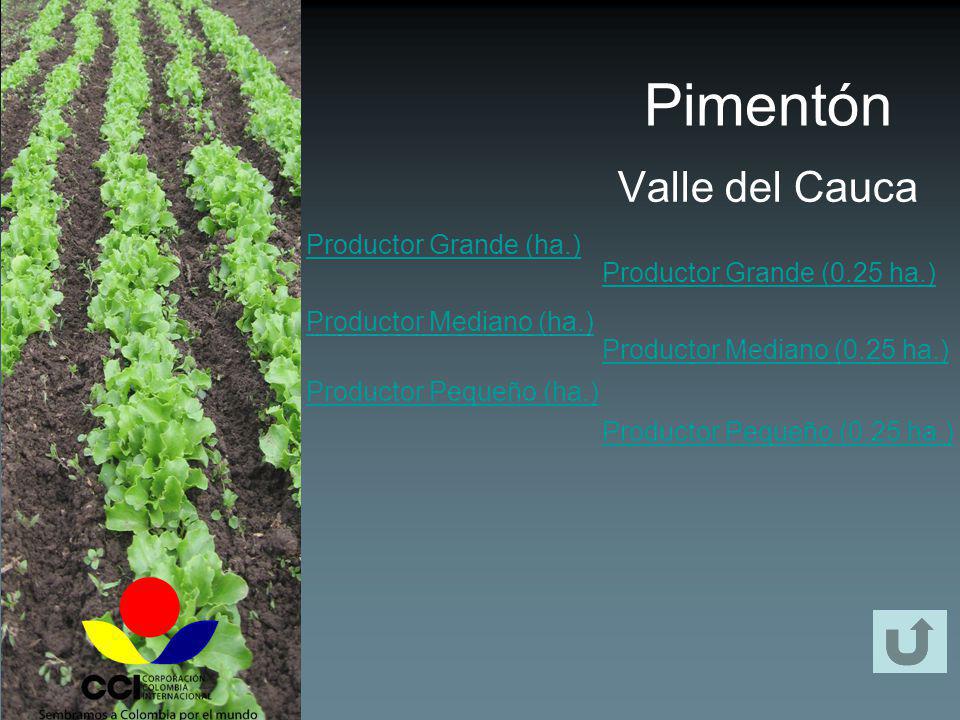 Pimentón Valle del Cauca Productor Grande (ha.)