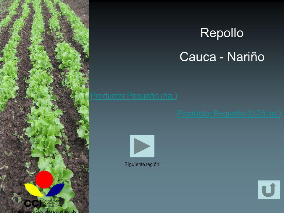 Repollo Cauca - Nariño Productor Pequeño (ha.)