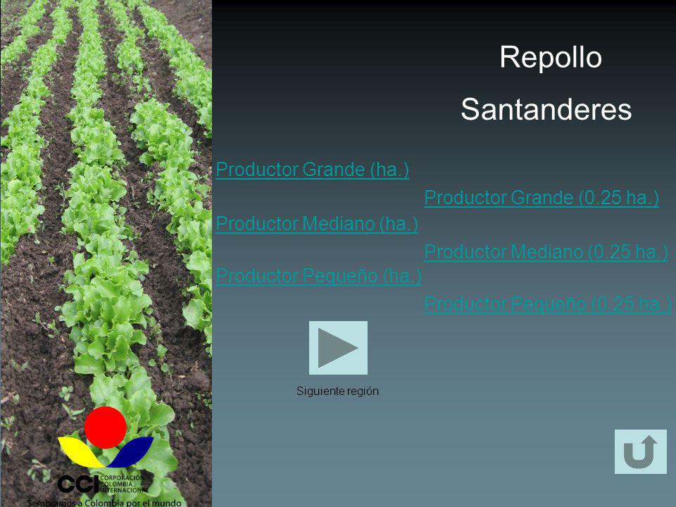 Repollo Santanderes Productor Grande (ha.) Productor Mediano (ha.)