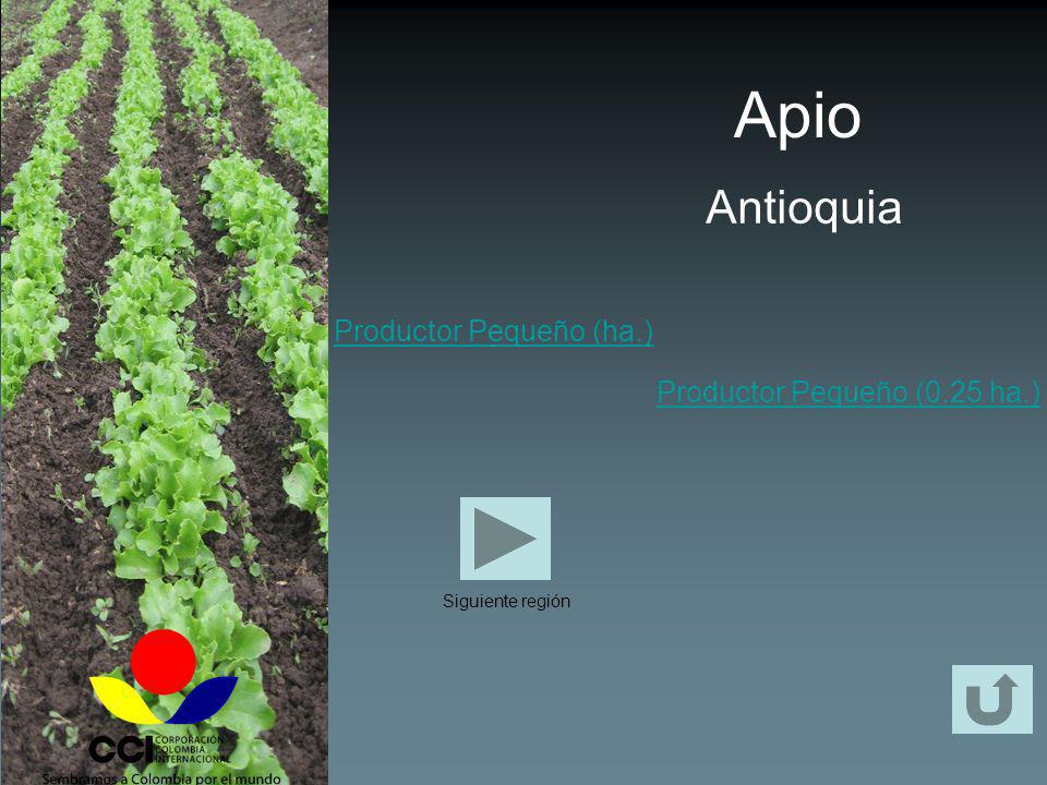 Apio Antioquia Productor Pequeño (ha.) Productor Pequeño (0.25 ha.)