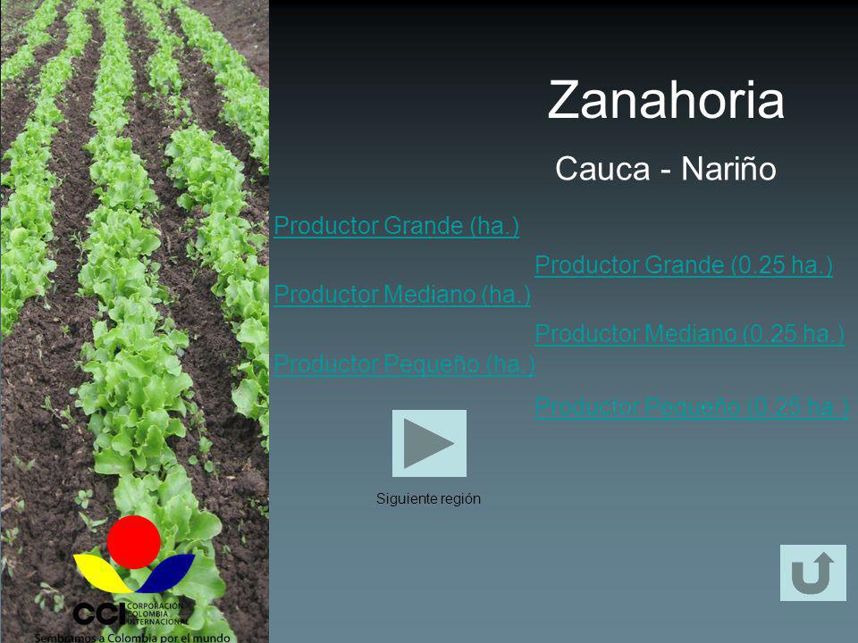 Zanahoria Cauca - Nariño Productor Grande (ha.)