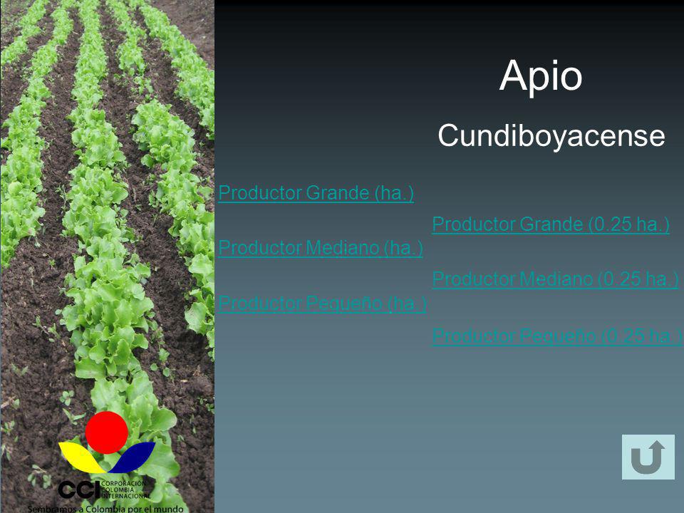 Apio Cundiboyacense Productor Grande (ha.) Productor Mediano (ha.)