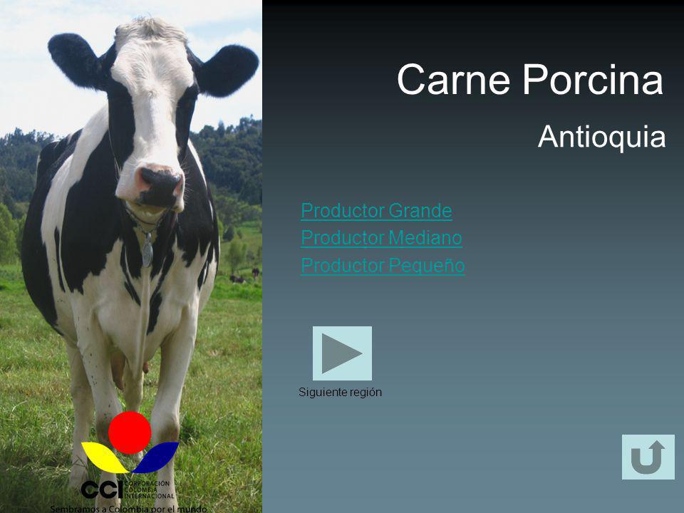 Carne Porcina Antioquia Productor Grande Productor Mediano