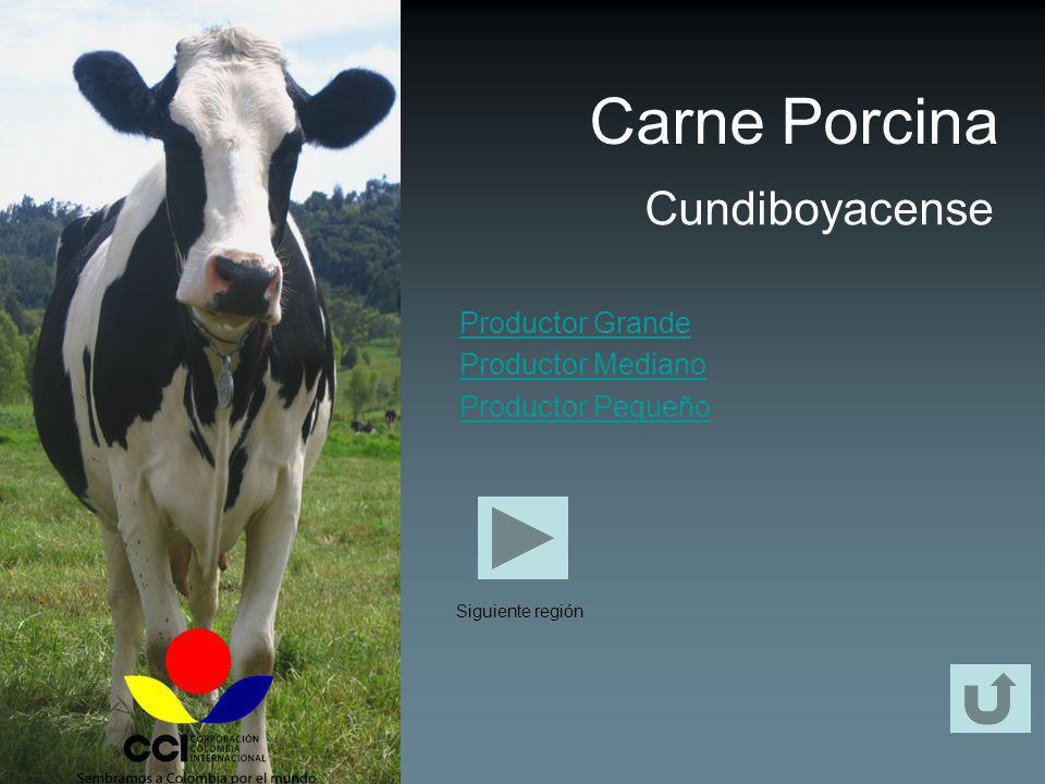 Carne Porcina Cundiboyacense Productor Grande Productor Mediano