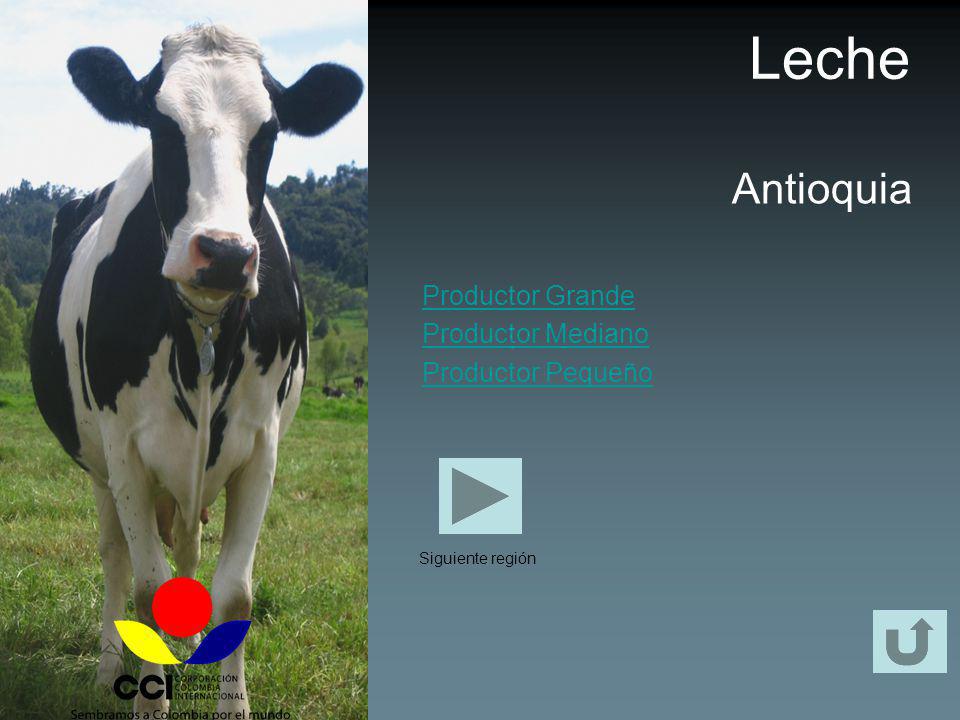 Leche Antioquia Productor Grande Productor Mediano Productor Pequeño