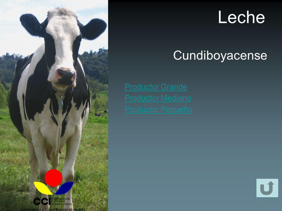 Leche Cundiboyacense Productor Grande Productor Mediano