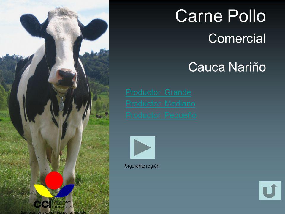 Carne Pollo Comercial Cauca Nariño Productor Grande Productor Mediano