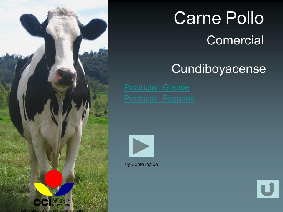 Carne Pollo Comercial Cundiboyacense Productor Grande