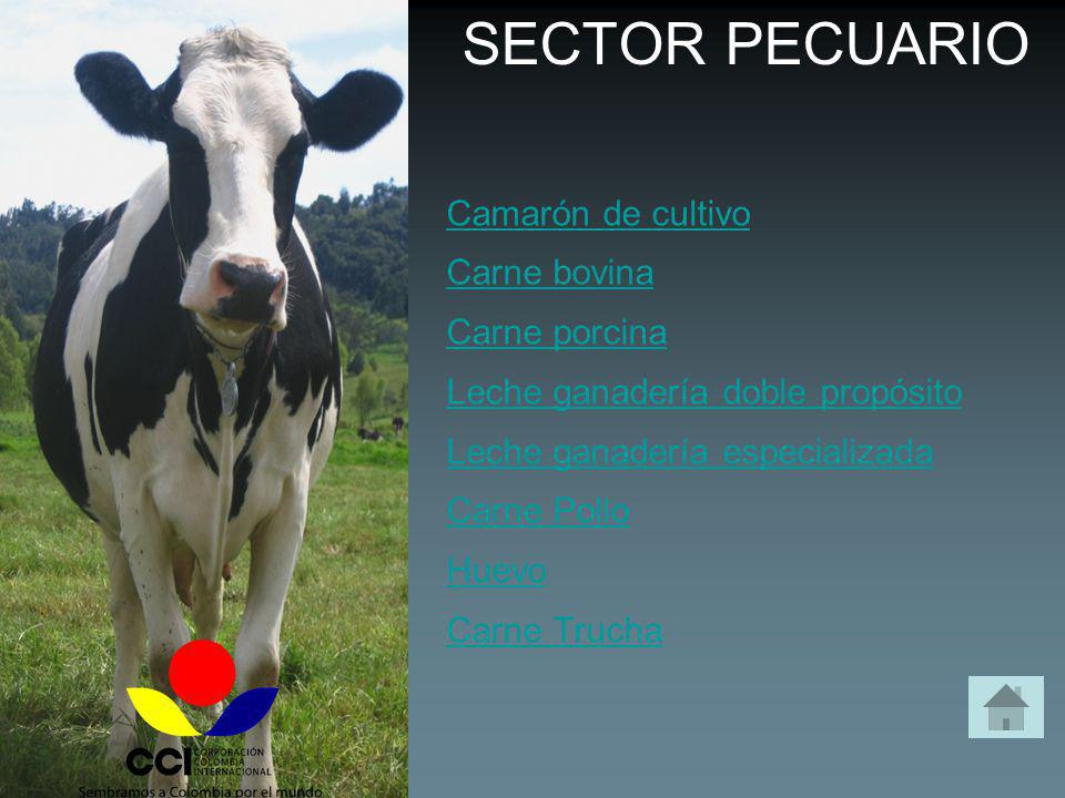 SECTOR PECUARIO Camarón de cultivo Carne bovina Carne porcina