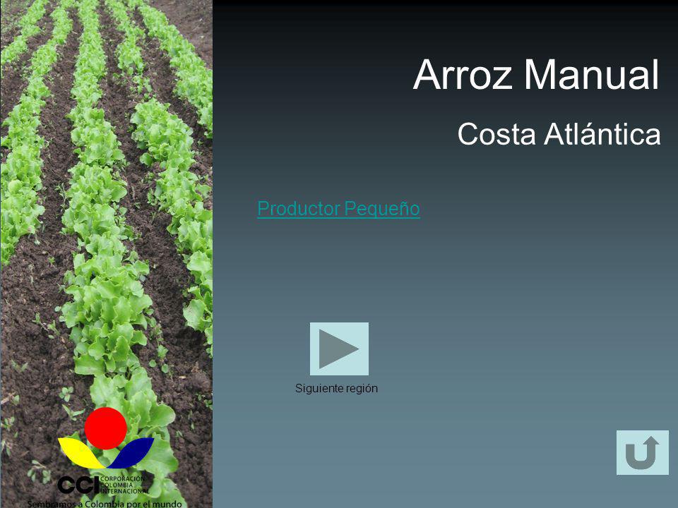 Arroz Manual Costa Atlántica Productor Pequeño Siguiente región