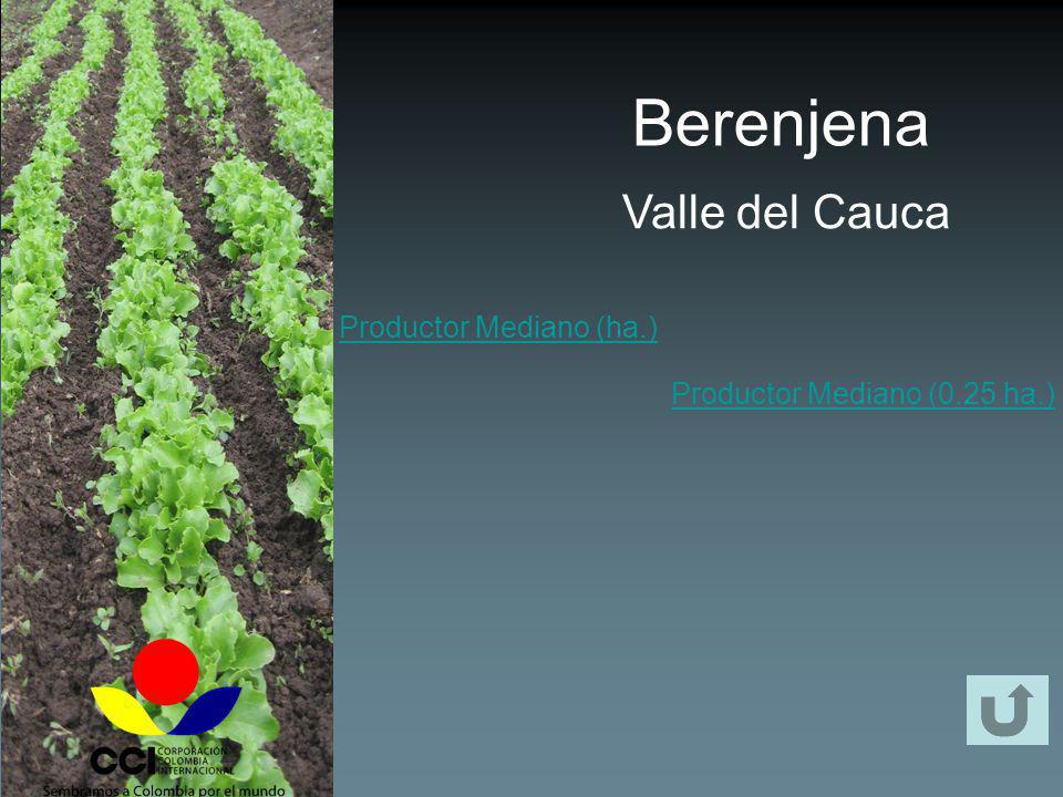 Berenjena Valle del Cauca Productor Mediano (ha.)