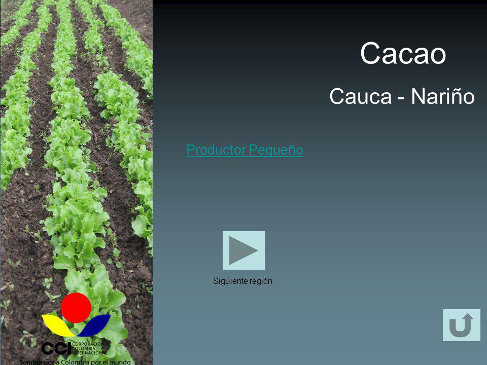 Cacao Cauca - Nariño Productor Pequeño Siguiente región