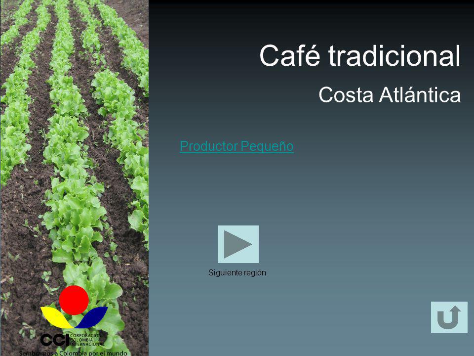 Café tradicional Costa Atlántica Productor Pequeño Siguiente región