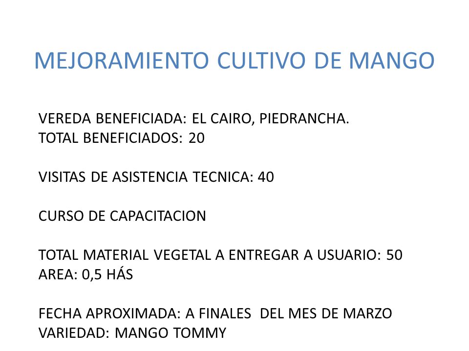 MEJORAMIENTO CULTIVO DE MANGO