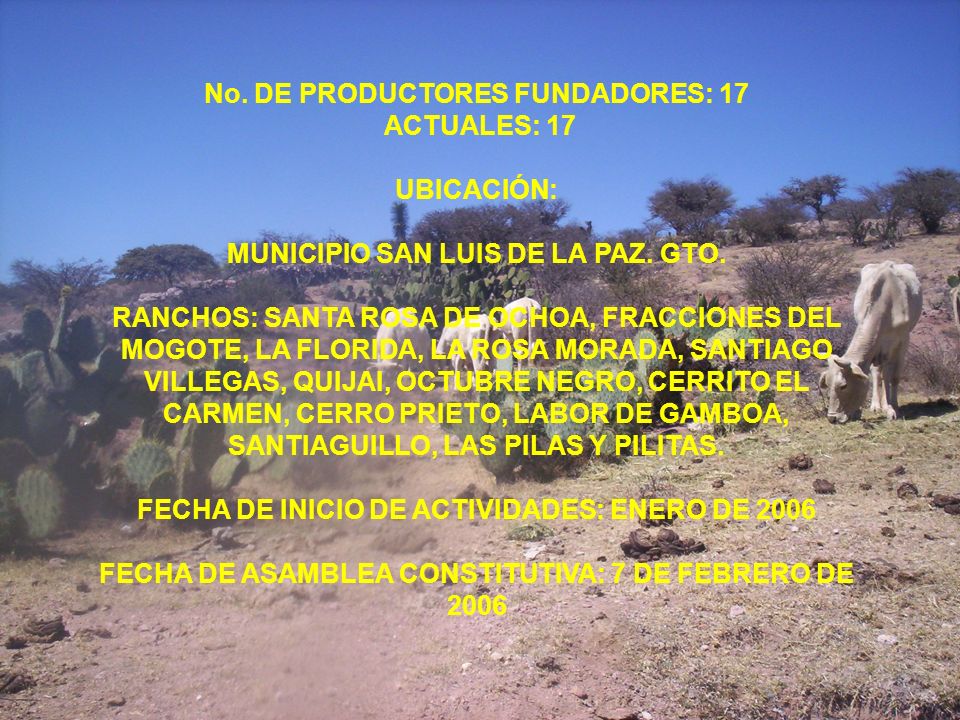 No. DE PRODUCTORES FUNDADORES: 17 ACTUALES: 17 UBICACIÓN: