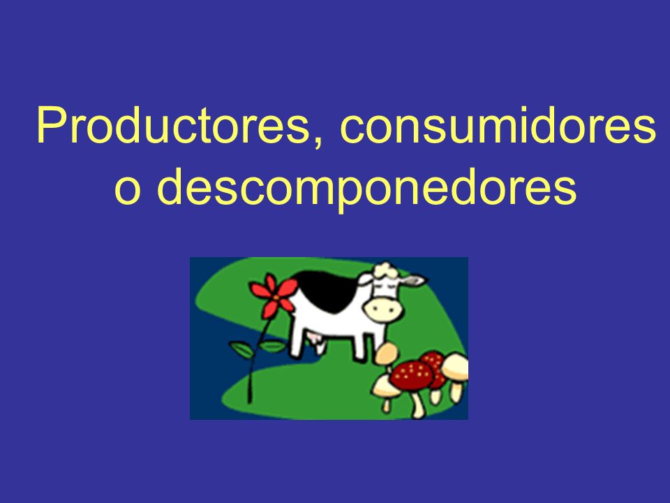 Productores, consumidores o descomponedores