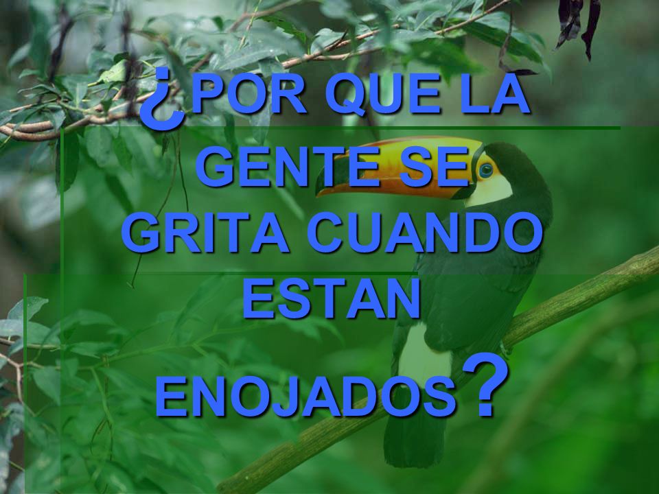¿POR QUE LA GENTE SE GRITA CUANDO ESTAN ENOJADOS