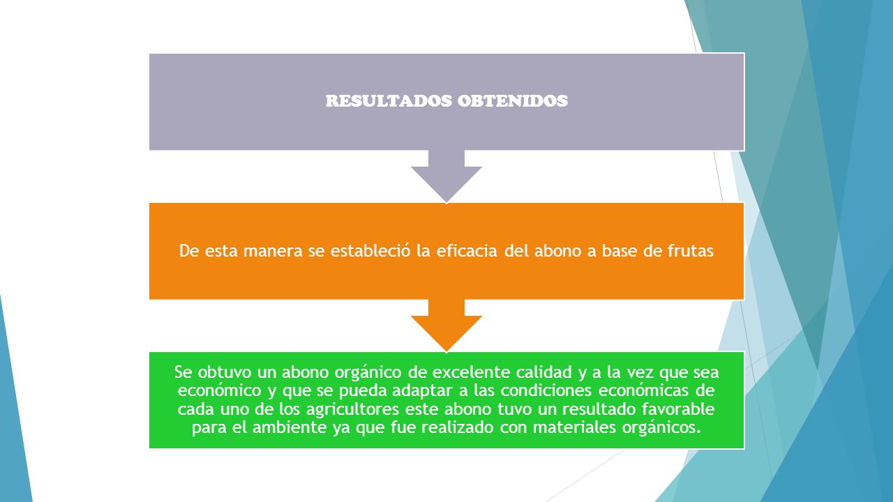De esta manera se estableció la eficacia del abono a base de frutas