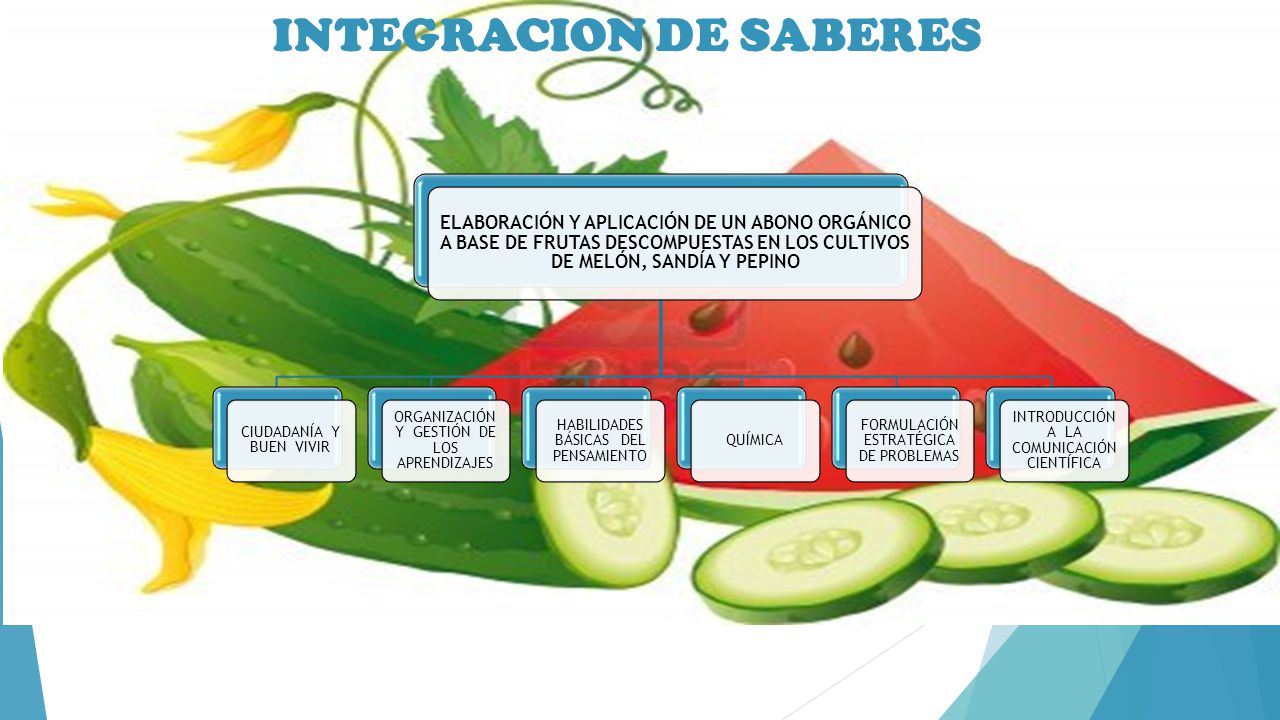 INTEGRACION DE SABERES