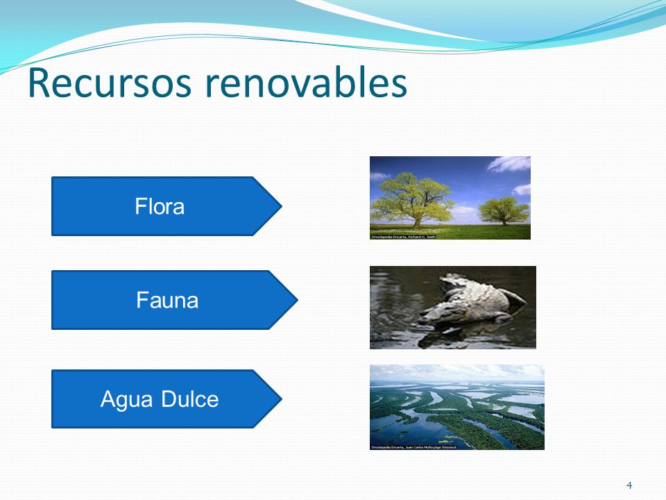Recursos renovables Flora Fauna Agua Dulce