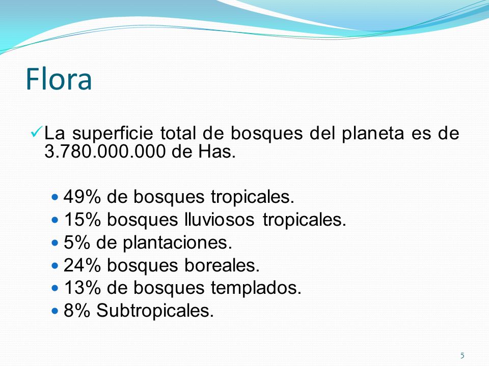 Flora La superficie total de bosques del planeta es de de Has. 49% de bosques tropicales.