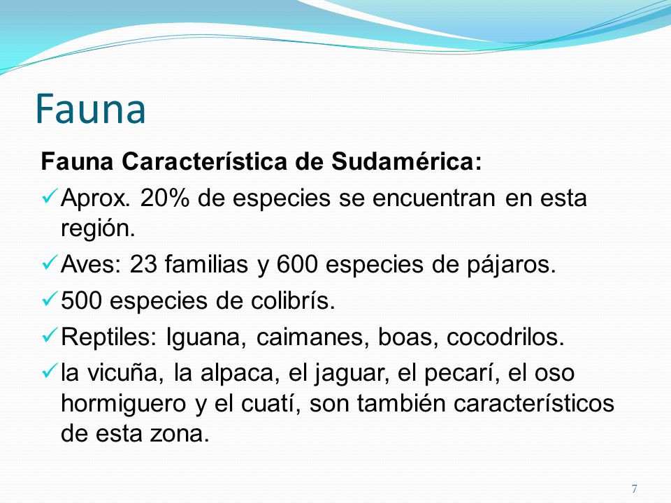 Fauna Fauna Característica de Sudamérica: