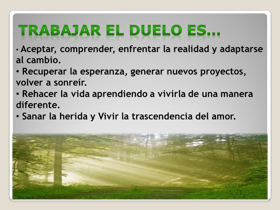 TRABAJAR el duelo es… Aceptar, comprender, enfrentar la realidad y adaptarse al cambio.
