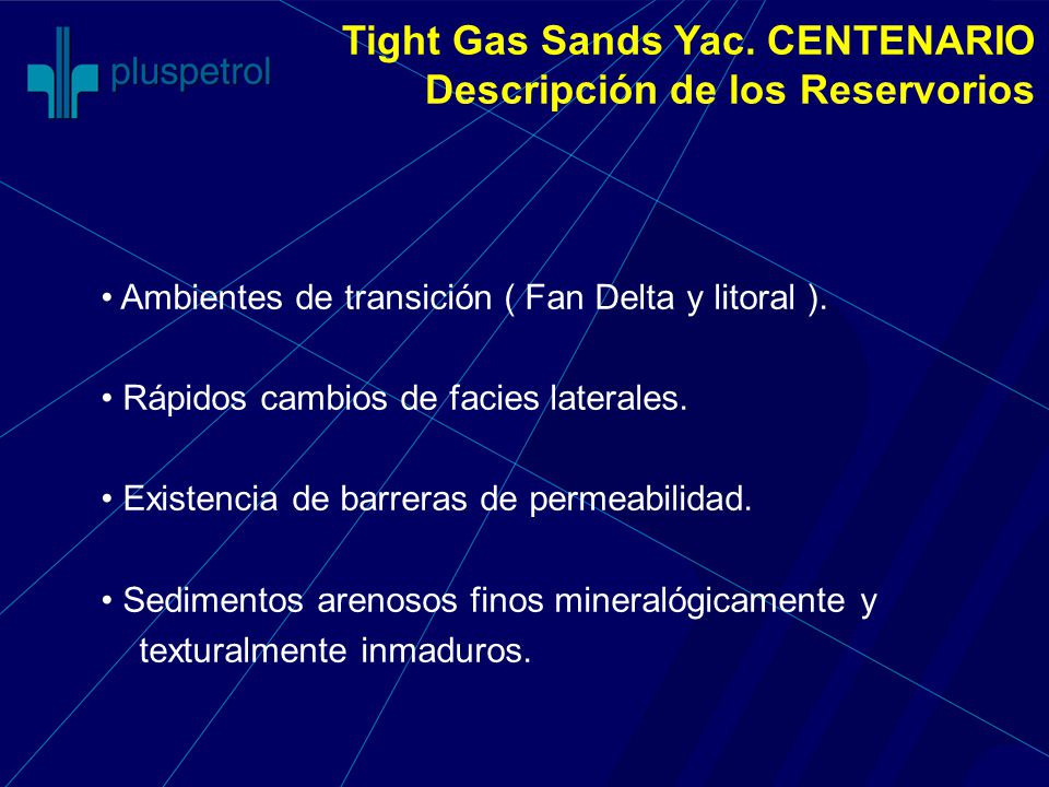Tight Gas Sands Yac. CENTENARIO Descripción de los Reservorios