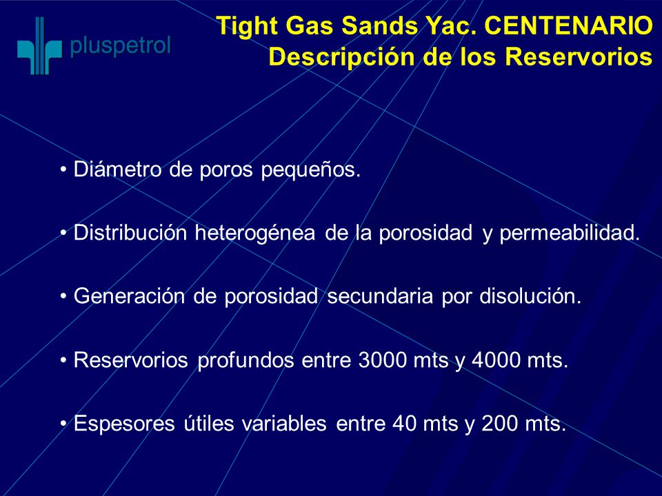 Tight Gas Sands Yac. CENTENARIO Descripción de los Reservorios