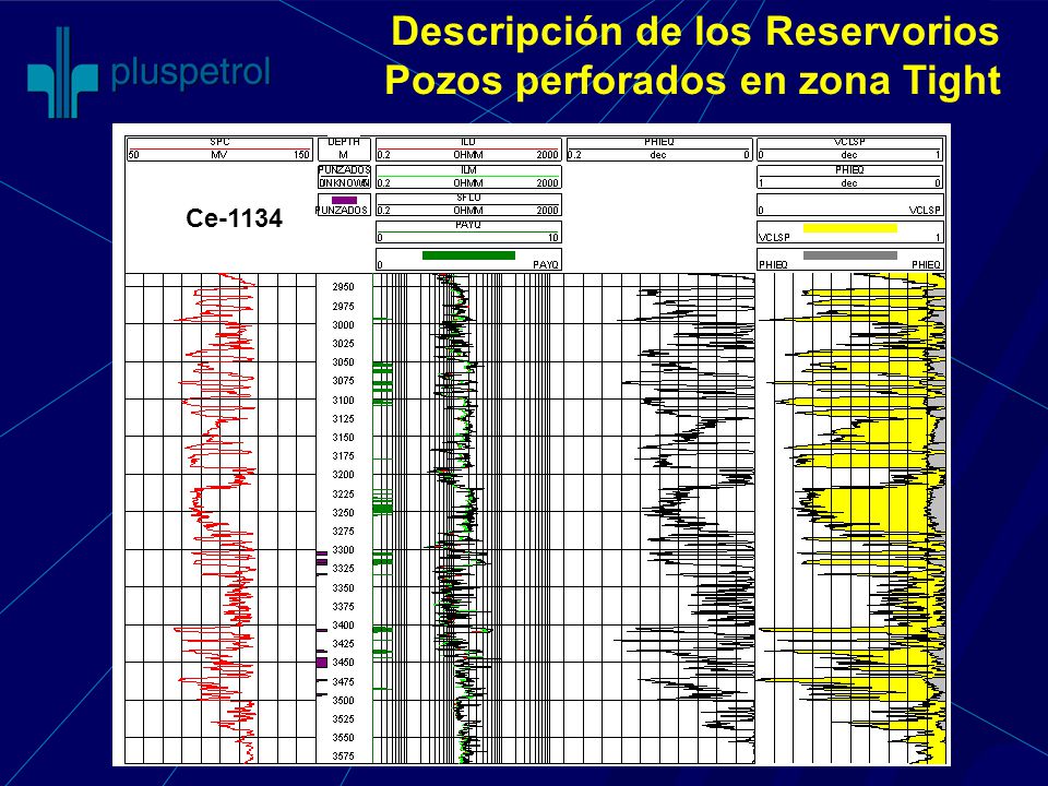 Descripción de los Reservorios Pozos perforados en zona Tight