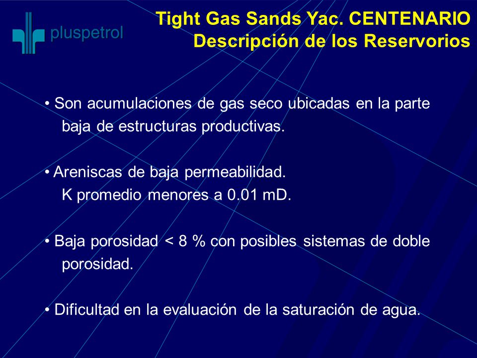 Tight Gas Sands Yac. CENTENARIO Descripción de los Reservorios