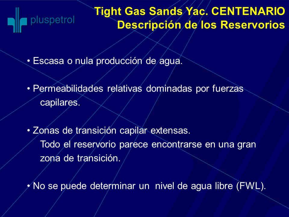 Tight Gas Sands Yac. CENTENARIO Descripción de los Reservorios