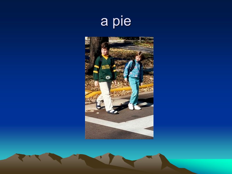 a pie