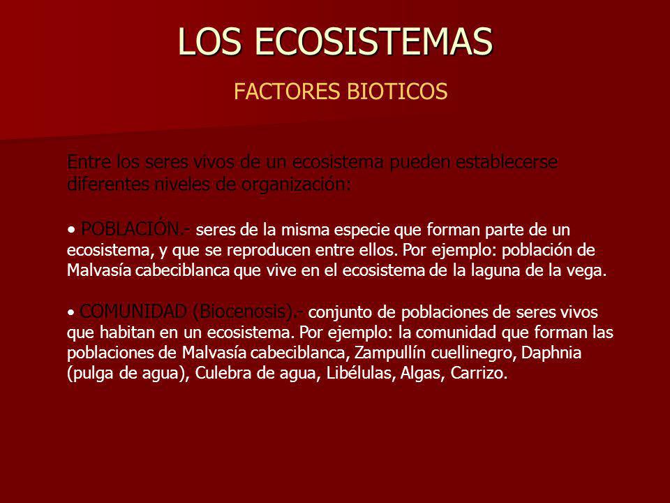 LOS ECOSISTEMAS FACTORES BIOTICOS