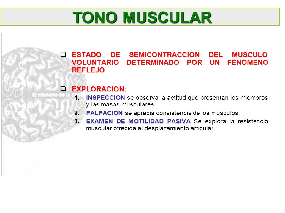 TONO MUSCULAR ESTADO DE SEMICONTRACCION DEL MUSCULO VOLUNTARIO DETERMINADO POR UN FENOMENO REFLEJO.