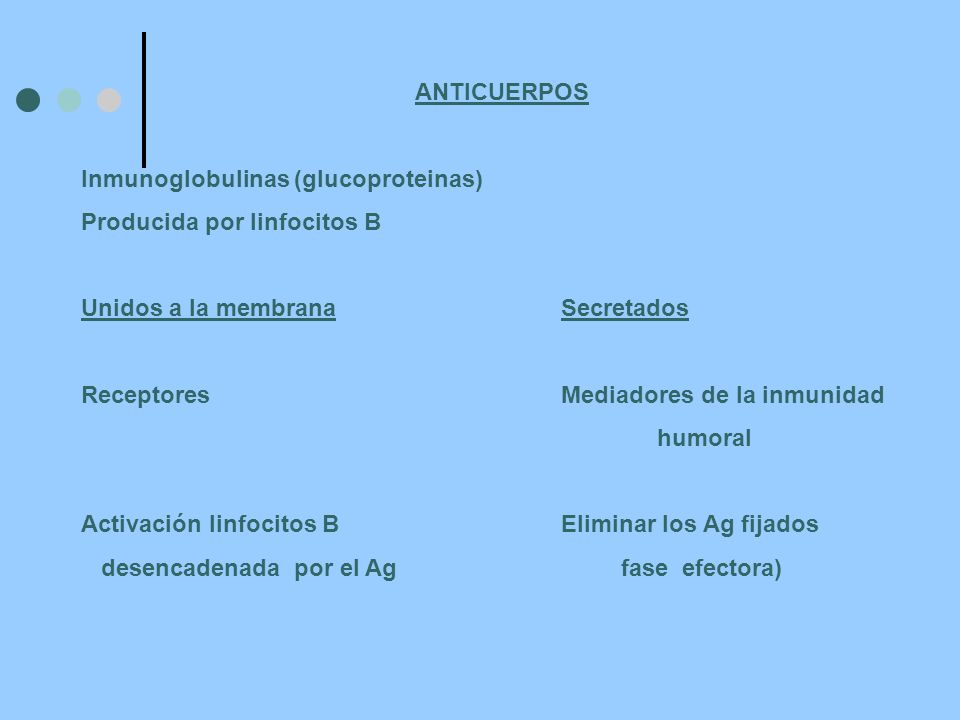 ANTICUERPOS Inmunoglobulinas (glucoproteinas) Producida por linfocitos B. Unidos a la membrana Secretados.