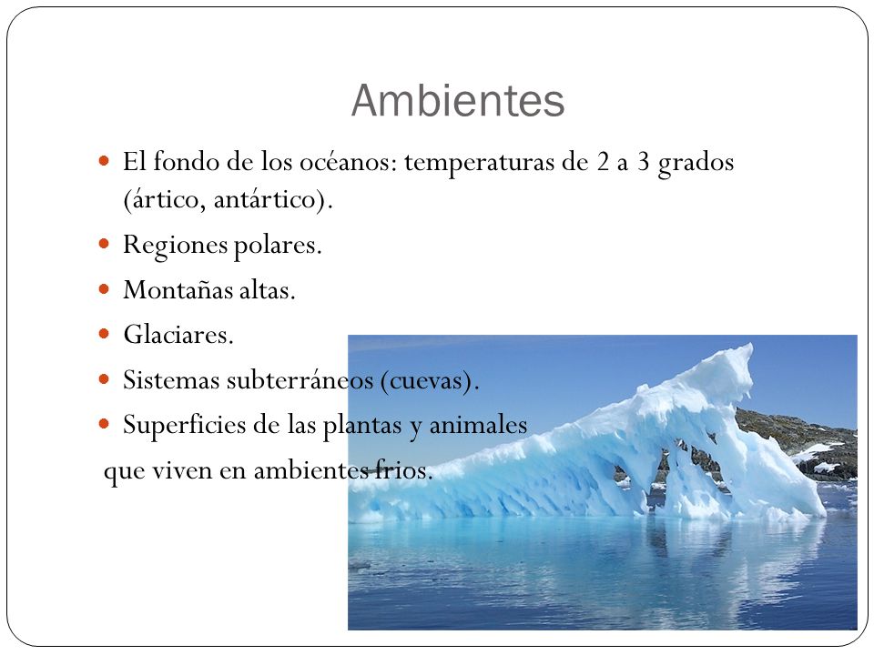 Ambientes El fondo de los océanos: temperaturas de 2 a 3 grados (ártico, antártico). Regiones polares.