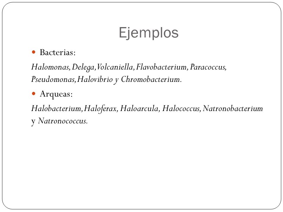 Ejemplos Bacterias: Halomonas, Delega, Volcaniella, Flavobacterium, Paracoccus, Pseudomonas, Halovibrio y Chromobacterium.