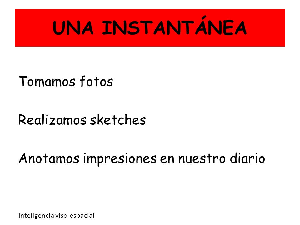 UNA INSTANTÁNEA Tomamos fotos Realizamos sketches Anotamos impresiones en nuestro diario Inteligencia viso-espacial.