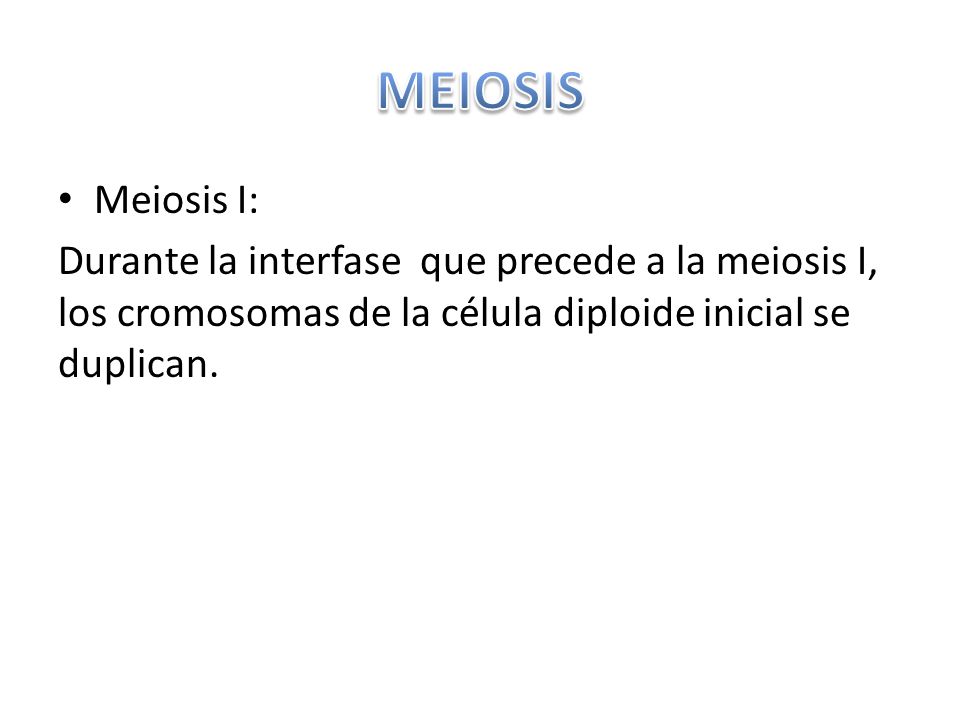 MEIOSIS Meiosis I: Durante la interfase que precede a la meiosis I, los cromosomas de la célula diploide inicial se duplican.